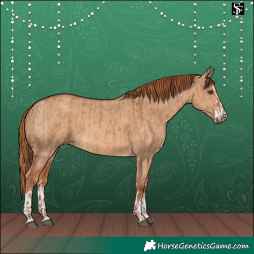 Horse Color:Red Dun and Red Dun