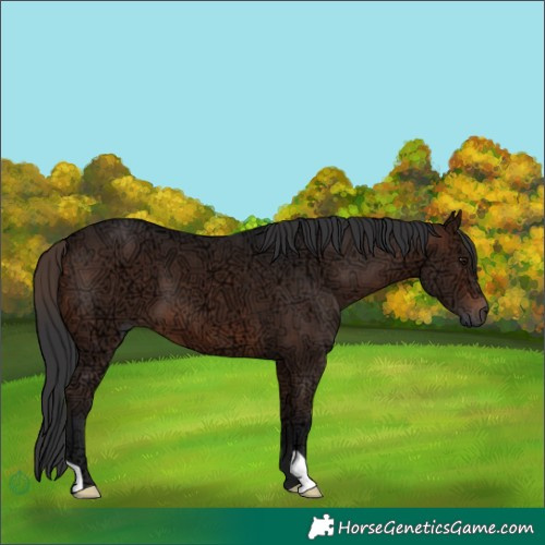 Horse Color:Brown Ice 