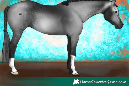 Horse Color:Gray Black 