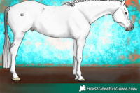 Horse Color:Gray White Spotted Grullo Leopard 