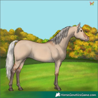 Horse Color:Silver Bay Dun Rabicano 