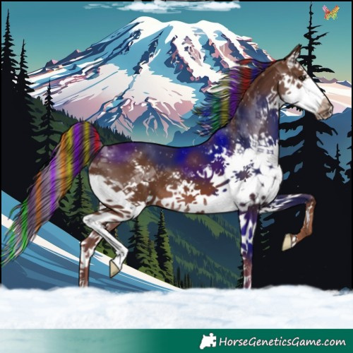 Horse Color:Painted Liver Chestnut Splash 