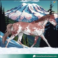 Horse Color:Watercolor Liver Chestnut Splash 