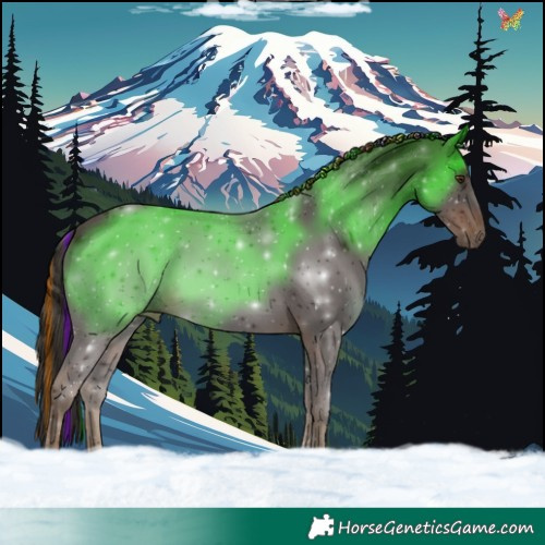 Horse Color:Painted Liver Chestnut 