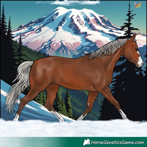Horse Color:Silver Brown 