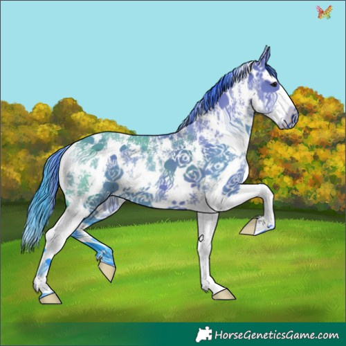 Horse Color:Watercolor Grullo Sabino Splash 