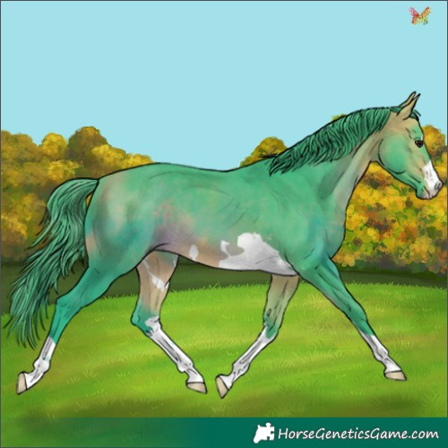 Horse Color:Watercolor Buckskin 
