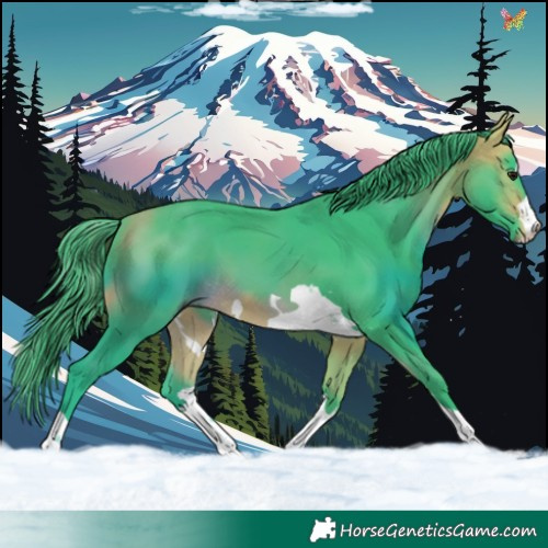 Horse Color:Watercolor Buckskin 
