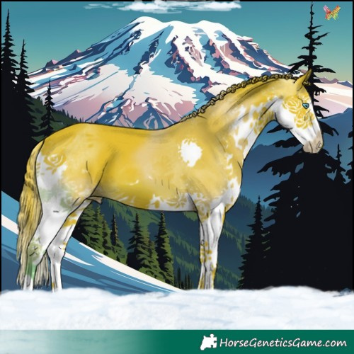 Horse Color:Watercolor Liver Chestnut Splash 