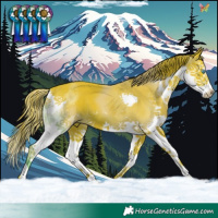 Horse Color:Watercolor Liver Chestnut Splash 