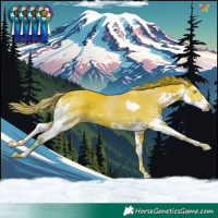 Horse Color:Watercolor Liver Chestnut Splash
