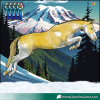 Horse Color:Watercolor Liver Chestnut Splash 