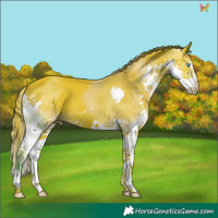Horse Color:Watercolor Liver Chestnut Splash 