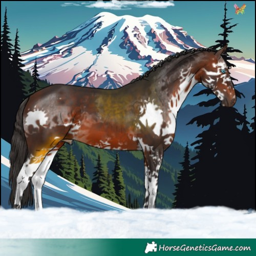 Horse Color:Brown Splash 
