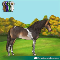 Horse Color:Buckskin Tobiano 