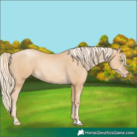 Horse Color:Palomino Pearl 