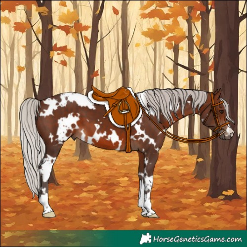 Horse Color:White Spotted Silver Brown 