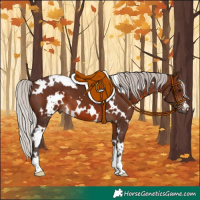 Horse Color:White Spotted Silver Brown 