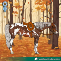 Horse Color:White Spotted Silver Brown 