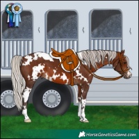 Horse Color:White Spotted Silver Brown