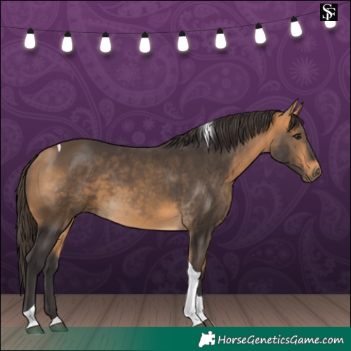 Horse Color:Buckskin Tobiano 