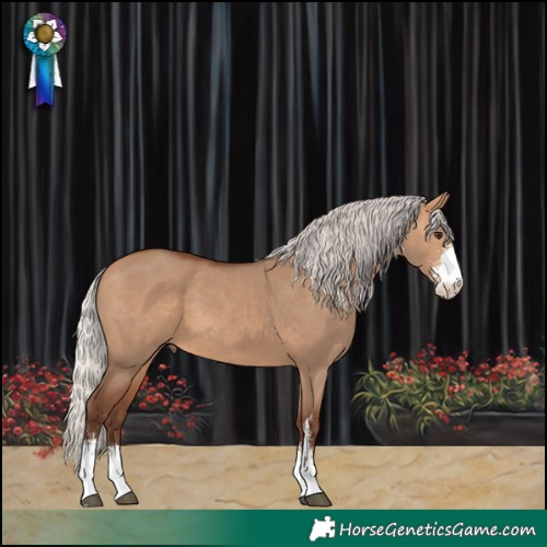 Horse Color:Silver Bay Dun Sabino 
