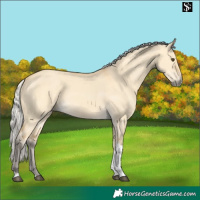 Horse Color:Silver Buckskin Dun Tobiano
