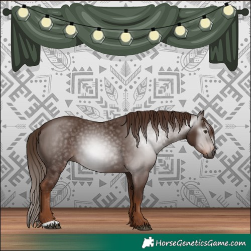 Horse Color:Gray Chestnut 