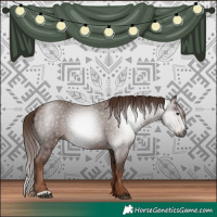 Horse Color:Gray Chestnut 
