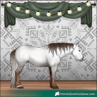 Horse Color:Gray Chestnut 