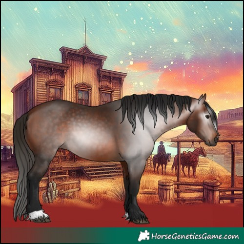 Horse Color:Gray Bay 
