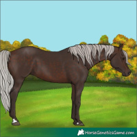 Horse Color:Silver Brown