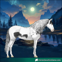 Horse Color:Black Splash Tobiano 