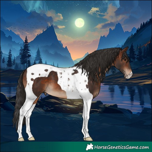 Horse Color:Brown Tobiano 