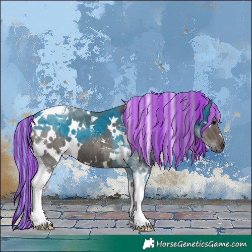 Horse Color:Painted White Spotted Silver Black Tobiano 