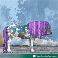 Horse Color:Painted White Spotted Silver Black Tobiano