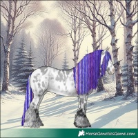 Horse Color:Painted Silver Brown Chinchilla Ice Dun Near Leopard 