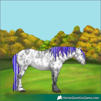 Horse Color:Painted Silver Brown Chinchilla Ice Dun Appaloosa 