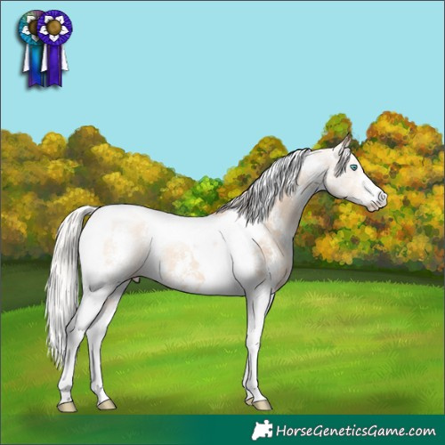 Horse Color:Silver Sable Champagne Dun Sabino Tobiano Rabicano 