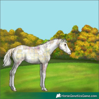 Horse Color:Watercolor Plaid White Spotted Silver Blue Onyx Ice Sabino Rabicano