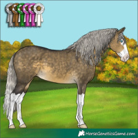 Horse Color:Silver Buckskin Dun Mushroom Splash 