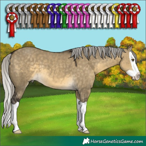 Horse Color:Silver Buckskin Dun Mushroom Splash 