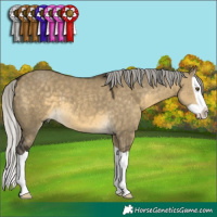 Horse Color:Silver Buckskin Dun Mushroom Splash 