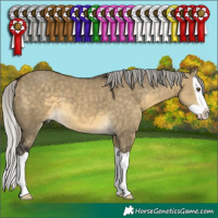 Horse Color:Silver Buckskin Dun Mushroom Splash 