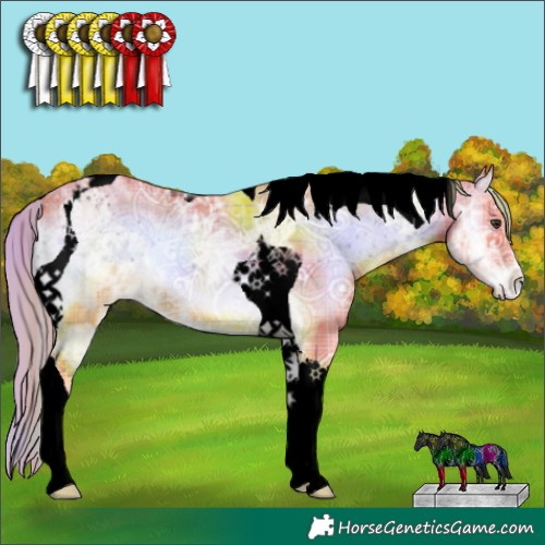 Horse Color:Void Watercolor Plaid  Red Onyx Ice Tobiano Appaloosa 