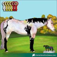 Horse Color:Void Watercolor Plaid Red Onyx Ice Tobiano Appaloosa