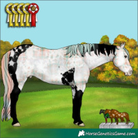 Horse Color:Void Watercolor Plaid Red Onyx Ice Tobiano Appaloosa