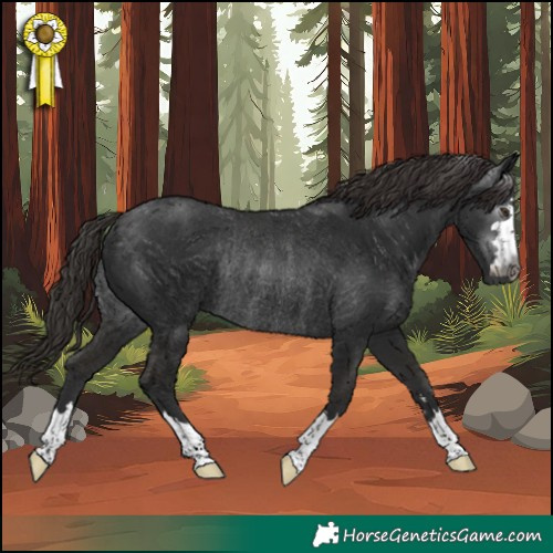 Horse Color:Gray Liver Chestnut Rabicano