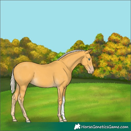 Horse Color:Silver Amber Cream Champagne Tobiano 