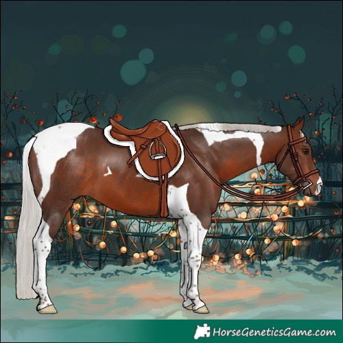 Horse Color:Silver Brown Tobiano 